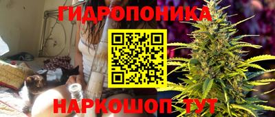 ECSTASY Камышлов