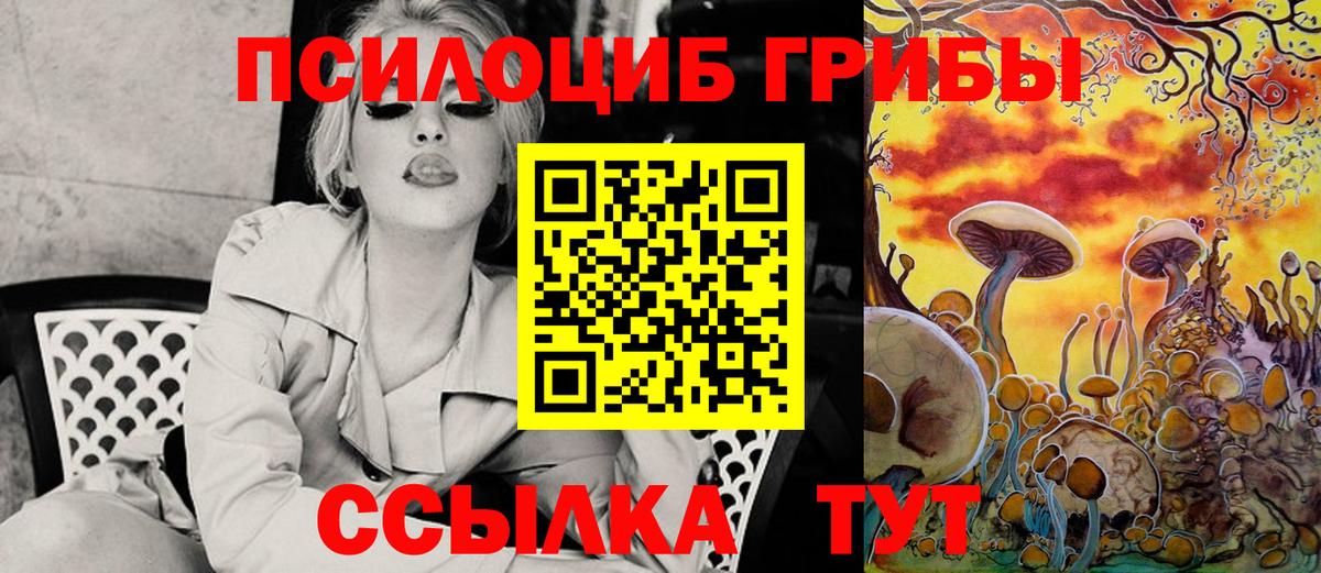Псилоцибиновые грибы Cubensis Арзамас
