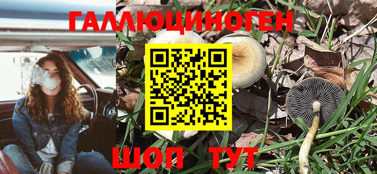 Псилоцибиновые грибы GOLDEN TEACHER  Вход с VPN  Арзамас 